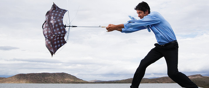 cultivate high performance teams